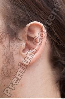 Ear texture of street references 427 0001